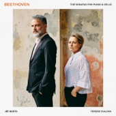 Beethoven: The Sonatas for Piano and Cello artwork