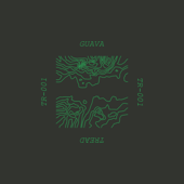 Guitarist - EP - Guava