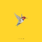 Bird (feat. Trinix) [Live Looping Remix] artwork