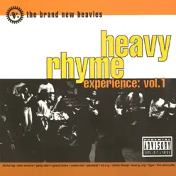 Heavy Rhyme Experience Vol. 1 - The Brand New Heavies