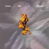 Gone Like a Flower - Single