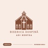 Biserica Suspină - Single