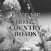 Take Me Home Country Roads - Single