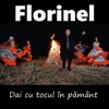 Dai cu tocul in pamant - Single