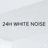 !!!" 24h White Noise "!!! album lyrics, reviews, download