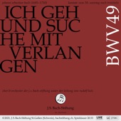 Ich geh und suche mit Verlangen, BWV 49: VI. Arie mit Choral (Duett Sopran, Bass). Dich hab ich je und je geliebet [Live] artwork