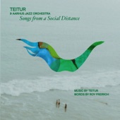 Songs From A Social Distance artwork