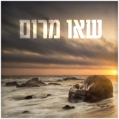 מתנה טובה artwork