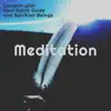 Connect with Your Spirit Guide and Spiritual Beings Meditation album lyrics, reviews, download