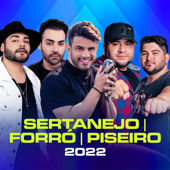 Sertanejo - Forró - Piseiro 2022 - Various Artists