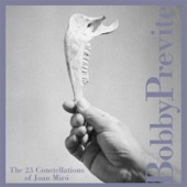 Bobby Previte - The Passage Of The Divine Bird