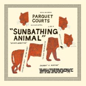 Parquet Courts - Bodies Made Of