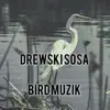 Bird Muzik (Instrumental) - Single album lyrics, reviews, download