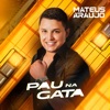 Pau na Gata - Single