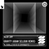 Maxim Lany - Gravity (Adam Sellouk Remix)