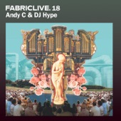 FABRICLIVE 18: Andy C & DJ Hype artwork