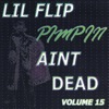 Pimpin' Ain't Dead, Vol. 15, 2000