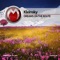 Dreamer - Kleinsky lyrics