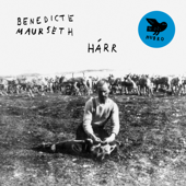 Hárr - Benedicte Maurseth