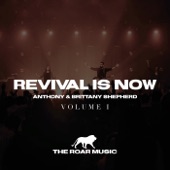 Revival Is Now (Live) artwork