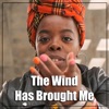 The Wind Has Brought Me - Single