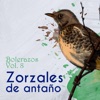 Zorzales de Antaño - Bolerazos, Vol. 8, 2023