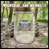 Moonshine and Mudholes - Single