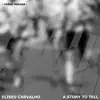 A Story to Tell (E.C.C. Remix) - Single album lyrics, reviews, download