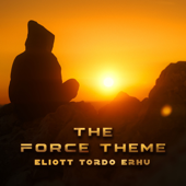 The Force Theme - Eliott Tordo Erhu