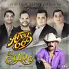 ¿Por Qué No Me Dejas Ir Completo? (feat. El Chapo De Sinaloa) - Single album lyrics, reviews, download