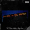 Welcome to the Bronx - Single album lyrics, reviews, download