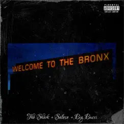 Welcome to the Bronx - Single by The Shark, Salese & Big Bucci album reviews, ratings, credits