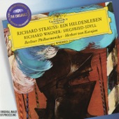 Strauss, R.: Ein Heldenleben / Wagner: Siegfried-Idyll artwork