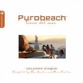 Purobeach, Vol. Cinque artwork