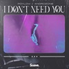 I Don't Need You - Single