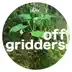 Off Griders song reviews