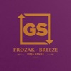 Breeze (Deja Remix) - Single