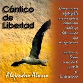 Cántico De Libertad artwork