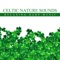 Celtic Harp Soundscapes - Celtic Chillout Relaxation Academy lyrics