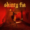 Skinty Fia by Fontaines D.C. iTunes Track 1