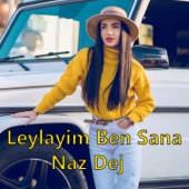 Leylayim Ben Sana artwork