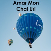 Amar Mon Chai Uri artwork