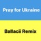 Pray for Ukraine (Remix) artwork