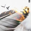 Feather - Single