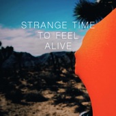 Strange Time To Feel Alive artwork