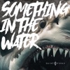 Something in the Water - Single