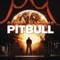 Last Night (feat. Afrojack & Havana Brown) - Pitbull lyrics