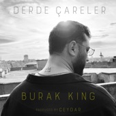 Derde Çareler artwork