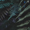 Real / Out of Sight - Single