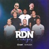 RDN & Amigos, Vol. 2 (feat. Suel & Ferrugem)